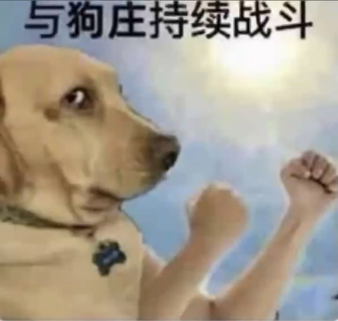 加拿大预测